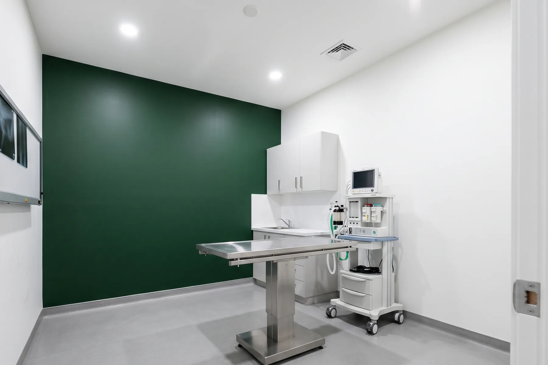 The surgery suite: stainless table, anesthesia monitor and x-ray viewer